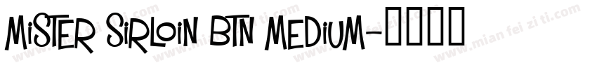 Mister Sirloin BTN Medium字体转换